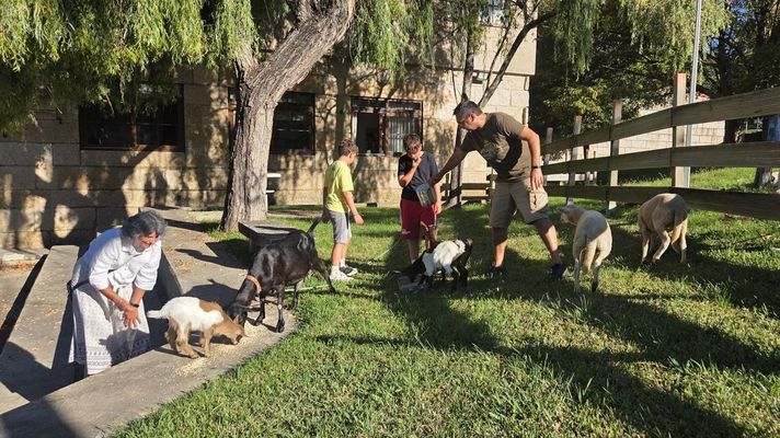 El cuidado diario de los animales permite trabajar la responsabilidad, la cooperaci�n y la capacidad de espera. de toda la comunidad educativa.