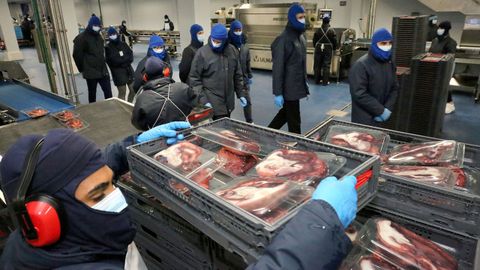 Visita institucional a la planta de Profand en Vilagarc�a