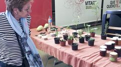 Mercado da Terra en Quiroga Ballesteros