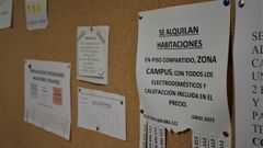Imagen de archivo de carteles de alquiler de pisos en el campus de Ourense