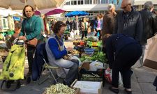 En la mayor parte de los puestos los labradores debullaban fabasw. 