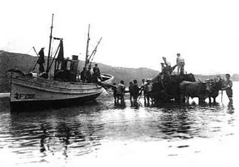Un barco, en la playa, echando el aparejo a un carro de vacas.
