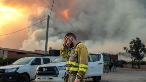 Un brigadista desolado ante el potente incendio registrado en Losacio (Zamora).