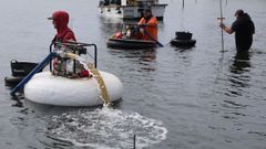 En los parques de cultivo, el lavado del sustrato tambi�n ha comenzado.