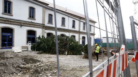 La envergadura de los �rboles que cayeron es considerable, pero no hubo heridos