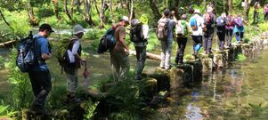 Senderistas cruzan el ro Tea por el paso ptreo de Lourido en Covelo. El de Tatn, en Mondariz, era impracticable porque el ro va crecido. 