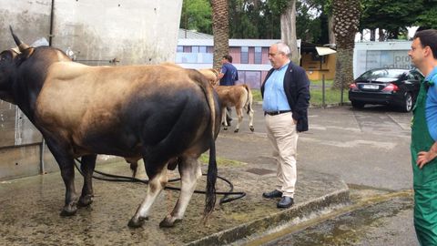 El diputado del PP Javier Brea durante la feria de San Antonio de Gij�n 