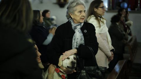 MISA Y BENDICIN DE LAS MASCOTAS CON MOTIVO DEL SAN ANTONIO EN LA IGLESIA DE LA ORDEN TERCERA