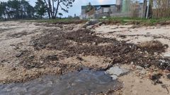 El CES valora un proyecto que solucionar� viejos problemas, pero pide que se revisen algunas cuestiones.