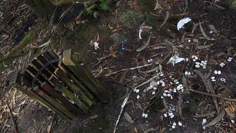 Chequeo en el entorno de la Capilla de San Ram�n de Bealo