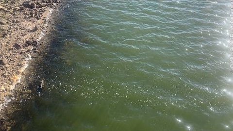 Estado del agua en el embalse de As Conchas (Lobeira), el jueves 3 de septiembre del 2026.