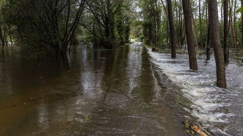 Ros desbordados en Carballo. 