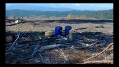 Los bidones tienen combustible procedente de una tala de pinos