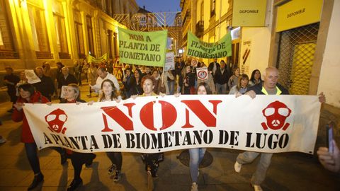 Manifestacin en Lugo contra la planta de Coeses