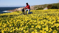 A Coru�a, en el entorno de la Torre de H�rcules. 