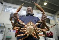 La apertura de la campa�a del centollo es todo un acontecimiento en O Grove y Cambados. 