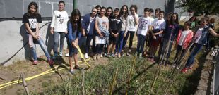 Los voluntarios del programa Voz Natura dedican los recreos y dos tardes a la semana al cuidado de su huerto y su invernadero; y lo hacen porque es lo m�s les gusta. 