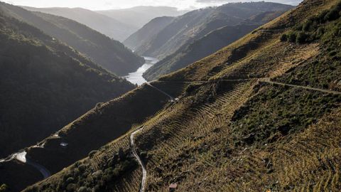 Cada uno de los municipios lucenses tendr� su estaci�n de recogida de datos