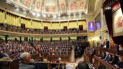 Vista del hemiciclo del Congreso de los Diputados.