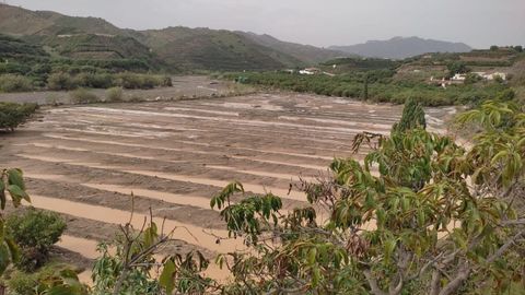 Campos de cultivo anegados en Vlez-Mlaga tras el paso de la dana del 13 de noviembre