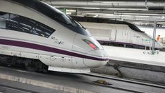 Trenes de alta velocidad, en la estaci�n de Sants (Barcelona).