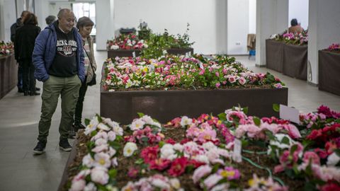 M�s de treinta expositores de Galicia, Asturias y Portugal participaron en esta edici�n