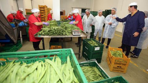 Horsal es la principal cooperativa de huerta de Galicia