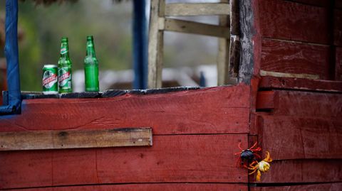 Cangrejos rojos caminan desde los bosques al mar para desovar en playa Gir�n (Cuba)