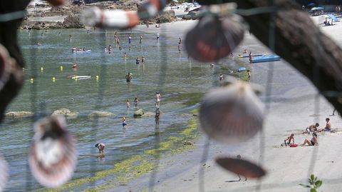 Playa de Aguete. Conchas de zamburias con inscripciones de loe turistas en O Rincn de Poty