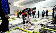 En la fotograf�a, una subasta de pescado en las instalaciones de la lonja de Cedeira. 