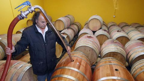 Bodegas como Algueira realizaron en los ltimos aos pruebas con barricas de roble gallego