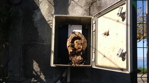 Un nido de velutina formado dentro de la caseta de un contador (imagen cedida por la Conseller�a de Presidencia)