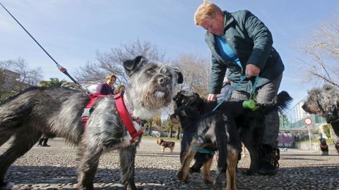 Bendici�n de mascotas en la iglesia de Campolongo