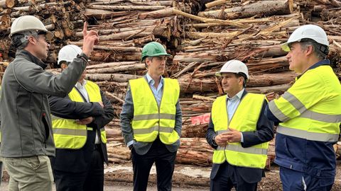 El delegado del Gobierno, Pedro Blanco, y Gonzalo Tojeiro, director general de Intasa (en el centro de la imagen) en un momento de la visita. 