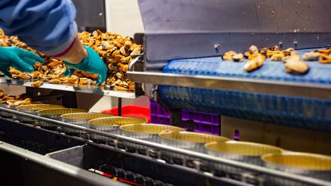 Visita a la conservera Orbe en el pol�gono de A Reigosa en Pontecaldelas.