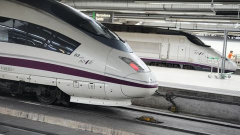Trenes de alta velocidad, en la estaci�n de Sants (Barcelona).