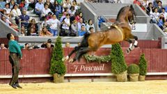 El colof�n a la fiesta taurina de Pontevedra