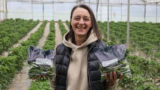Marta Novoa&nbsp;en su invernadero de Mani&ntilde;os, donde produce unas veinte toneladas de Pemento do Couto cada temporada