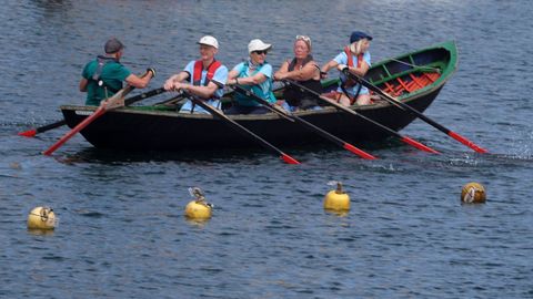 Encontro de Embarcacións Tradicionais de Galicia en Ribeira
