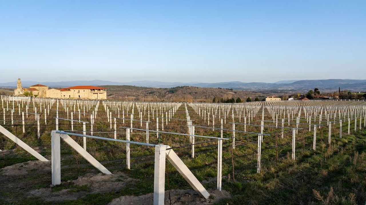 Fallece a los 77 años el empresario hotelero propietario del mayor viñedo de la Ribeira Sacra
