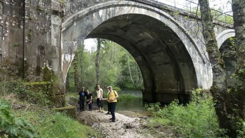 Romaxe de San Alberte en Guitiriz