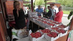 Un puesto de venta de cerezas en una edicin de la fiesta gastronmica de Ribas de Sil