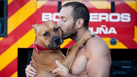 Muchos de ellos tienen animales adoptados. Las representantes de la protectora llevan algo más de un año trabajando y necesitan fondos para poder afrontar los gastos de cirugías y residencias, entre otras cosas