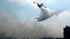 El Gobierno dispone de 73 aeronaves para la lucha contra los incendios forestales distribuidas en 47 bases de toda Espa�a