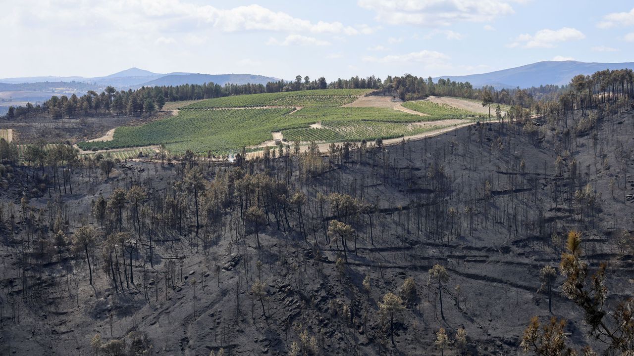 Ourense mantiene la emergencia por incendios pese a que el de Larouco, el de más extensión, está estabilizado
