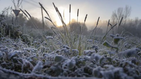 Imagen de las heladas en Portanxil, Ames