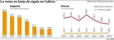 La venta en lonja de cigala en Galicia