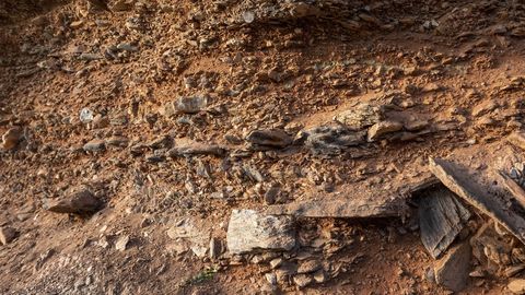 Esta pared de tierra es parte de un frente de explotación de la mina romana de Sequeiros