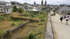 Bajo la maleza y la hierba est� el yacimiento excavado en el 2008