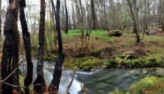 El documento regir� un territorio que pertenece en un 80 por ciento a manos privadas. 